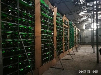 Mining farm with rows of active miners generating cryptocurrency rewards